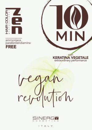 Фарб-карта ZEN Sinergy 10хв - 00-00022714